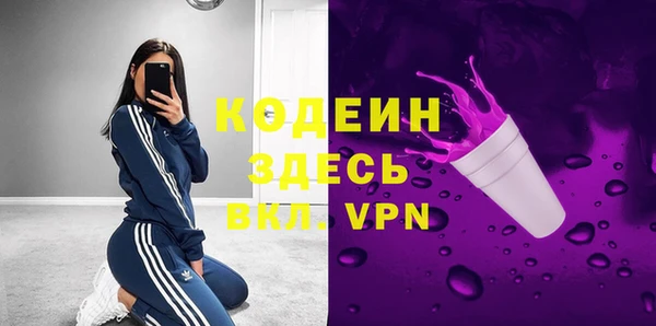 spice Ельня