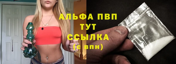 spice Ельня
