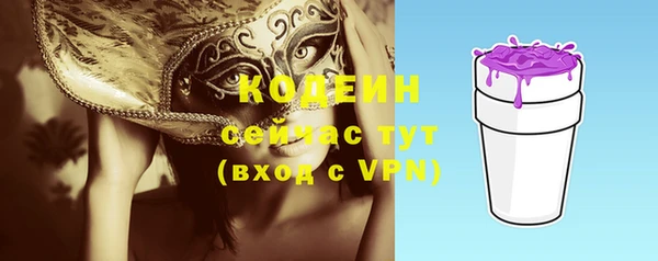 spice Ельня