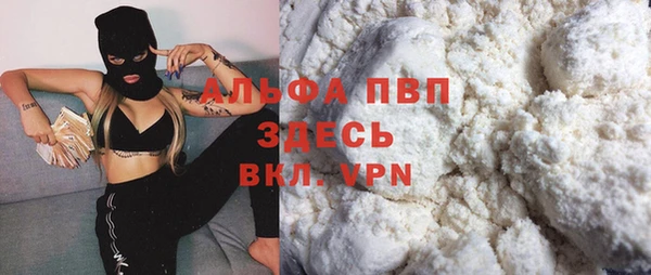 spice Ельня