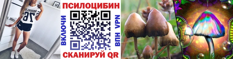 Купить где  Берёзовка  Галлюциногенные грибы мицелий 